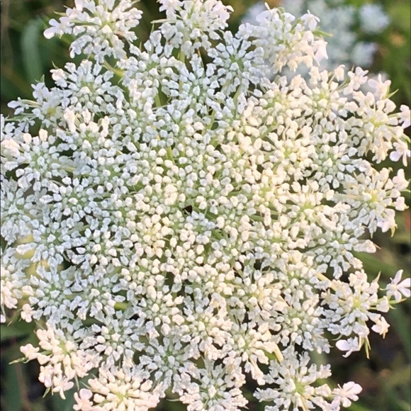 Welcome to my Closet! - Picture 1 of 1